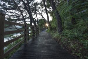バリ島で体験できるヒーリングの効果とは？