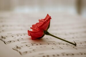 バリ島で楽しむヒーリング音楽の魅力とは？