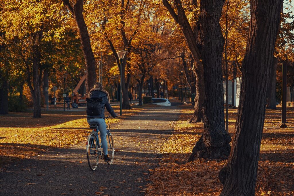 バリ島でのバイクレンタル体験記はどんなものだった？