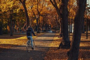 バリ島でのバイクレンタル体験記はどんなものだった？