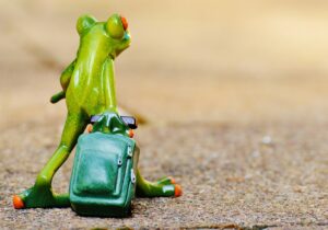 バリ島旅行でのトラブル体験記を共有しますか？
