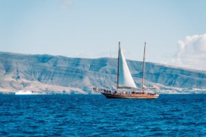 バリ島から行くヌサペニダ島の観光体験で楽しめるアクティビティは？