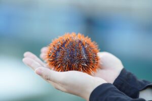 バリ島のマリンスポーツを楽しんだ体験記とは？