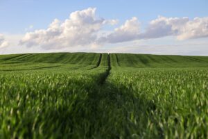 バリ島ジンバランでのサンセット体験記はどんな感じだった？