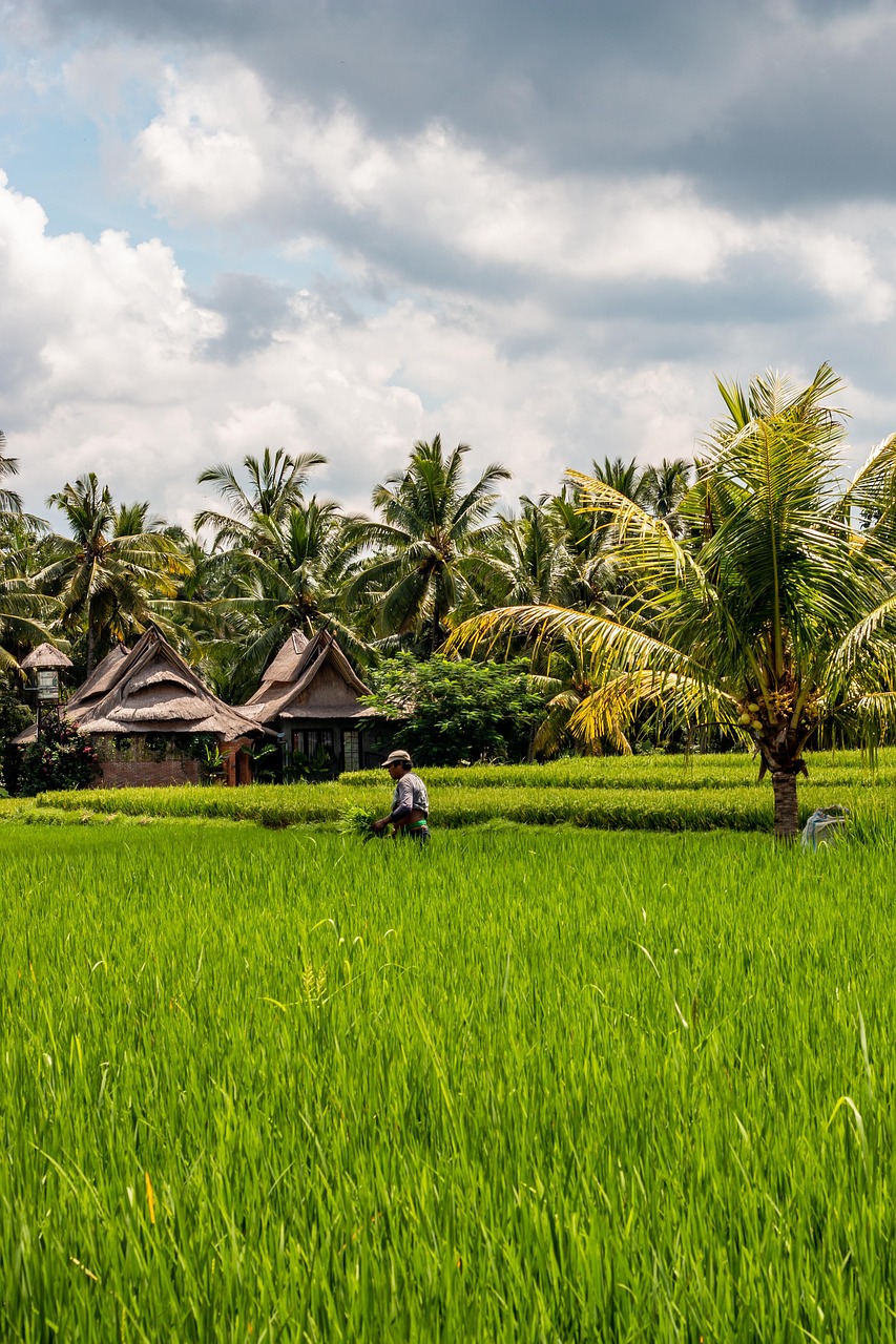 バリ島ウブドで楽しむおすすめスパはどこ？