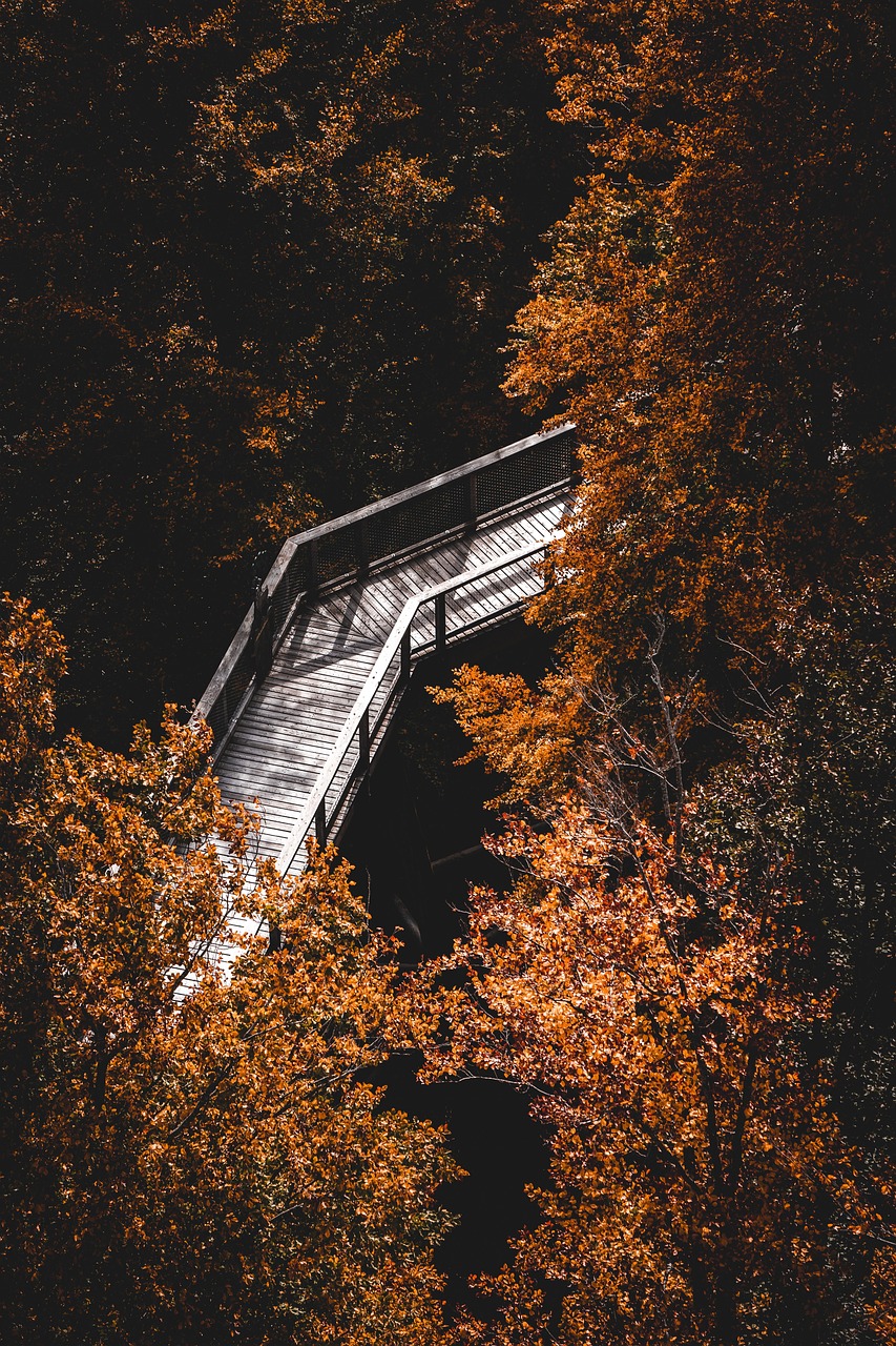 バリ島でのマインドフルネス体験はどんなものがある？