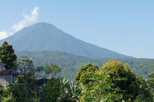 バリ島で体験するサイレントリトリートの魅力とは？