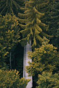 バリ島のマインドフルネスリトリートとはどのような体験ができるのか？
