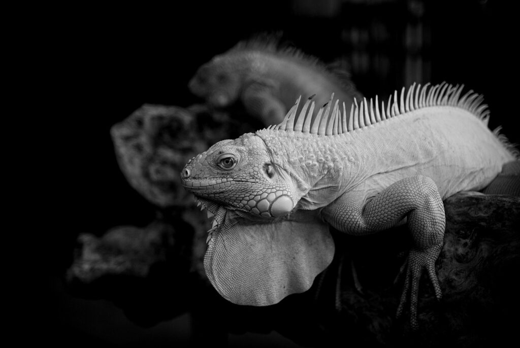 バリ島で心を浄化するとはどのような体験なのか？