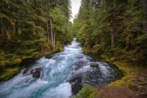 バリ島で心豊かさを感じる旅のおすすめスポットは？